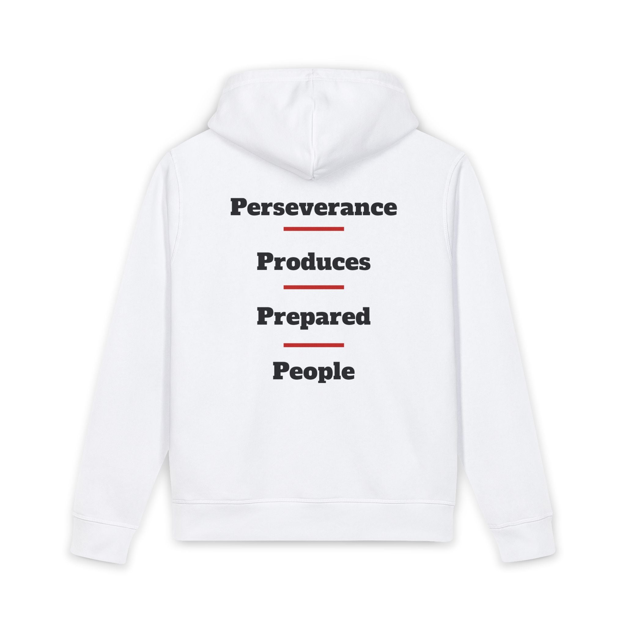 Perseverance — P4 Pullover