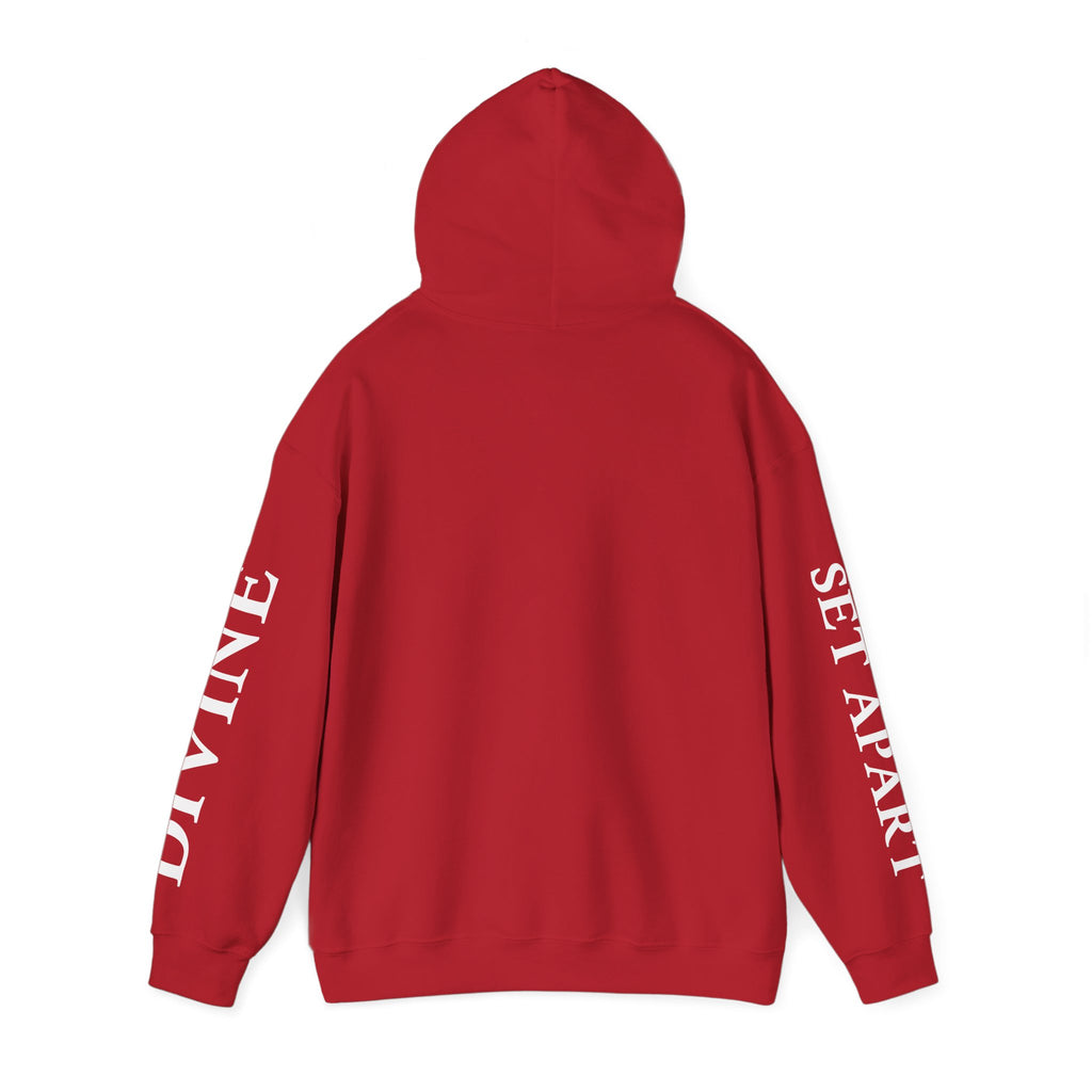 Legacy. Discipline. Excellence. - The TDVN Brand Hoodie